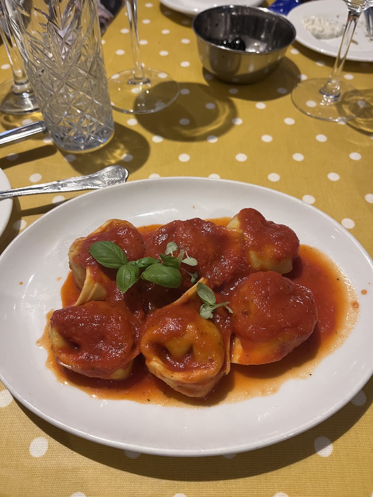 Tortellini in tomato sauce with basil at Anacapri